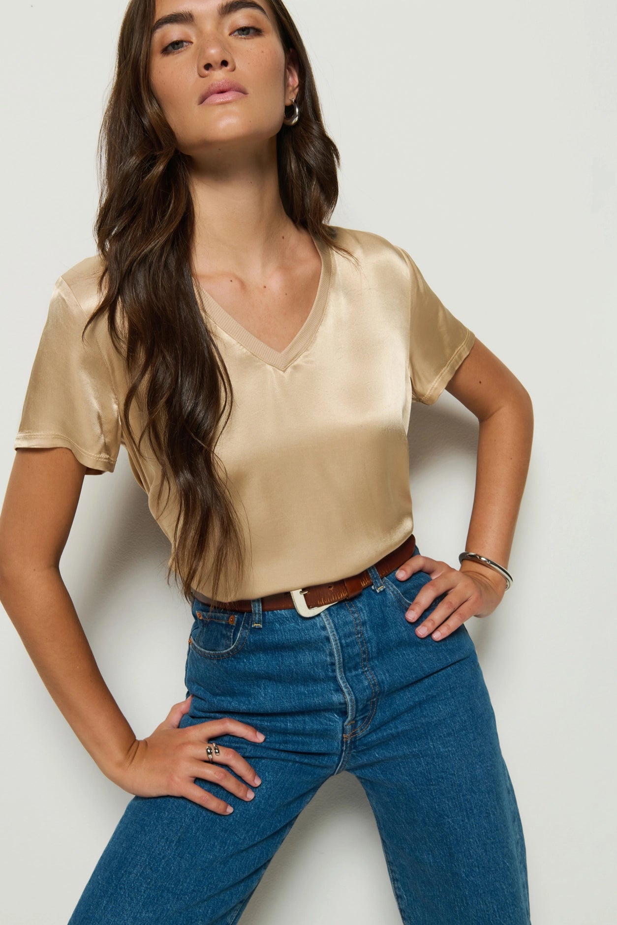 Sheer V Neck Top
